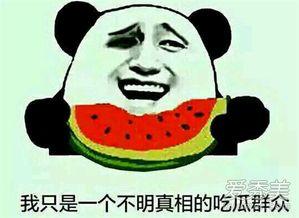 吃瓜群众的意思和造句子